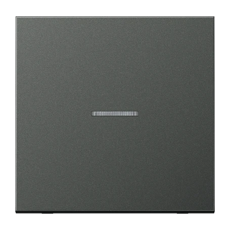 Rocker 1-gang, with lens, anthracite