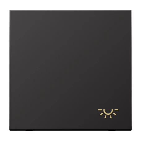 Schakelwip 1-voudig, Symbool "licht", Dark
