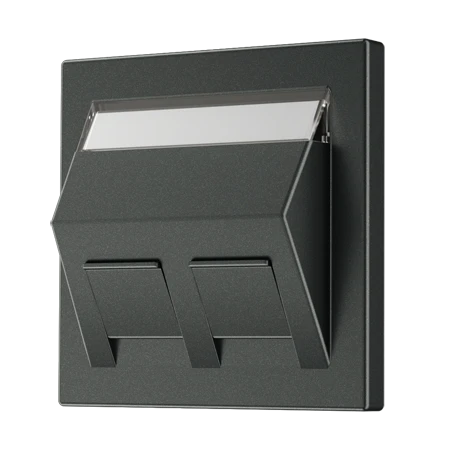 Centre plate for mounting adapter 30°, 2-gang, anthracite