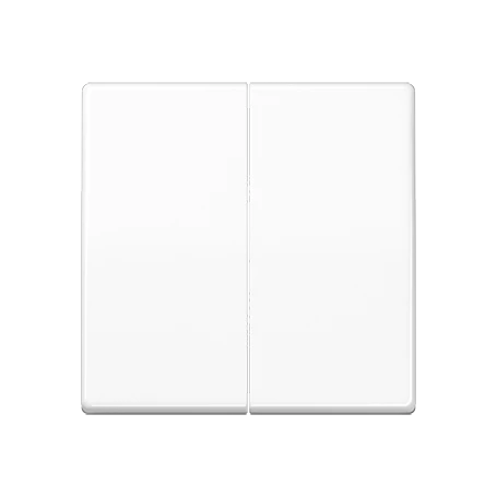 LB-Management Taster 2fach, alpinweiß