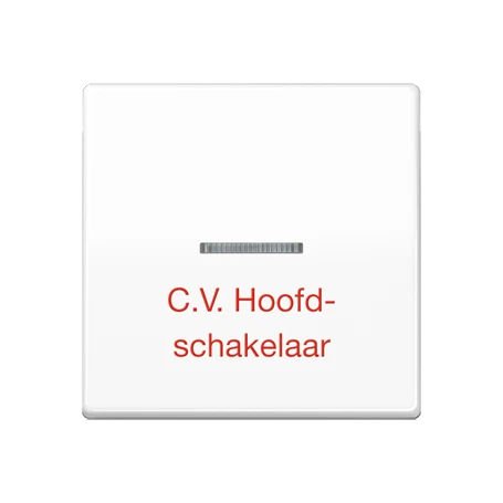 Schakelwip 1-voudig, opschrift "C.V. Hoofdschakelaar", met lens, Thermoplast, alpine wit