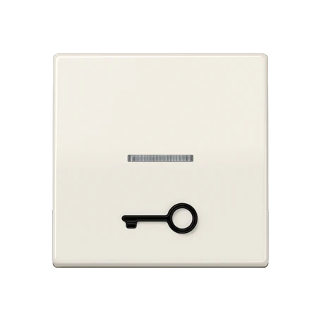 Rocker, with tactile symbol "door", with lens, ivory