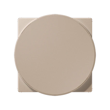 Centre plate for wireless charging, thermoplastic lacquered, A range, champagne