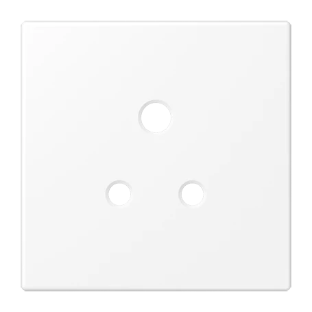 Centre plate для механизма розетки BS 2171-5 EINS и 3171-5 EINS, Дюропласт лакированный, белоснежный матовый