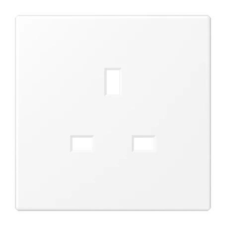 Centre plate for socket insert BS 2521 EINS and 3521 EINS, duroplastic lacquered, matt snow white