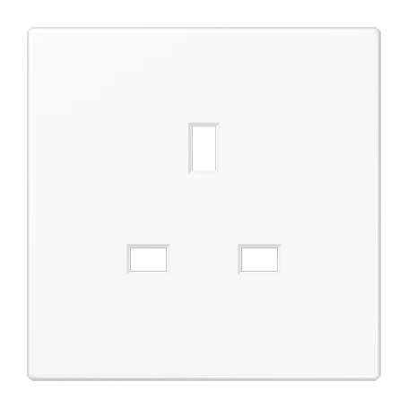 Centre plate for socket insert BS 2521 EINS and 3521 EINS, duroplastic, white