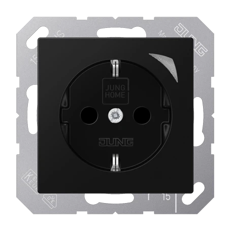 JUNG HOME wandcontactdoos met randaarde, Safety Plus, grafietzwart mat