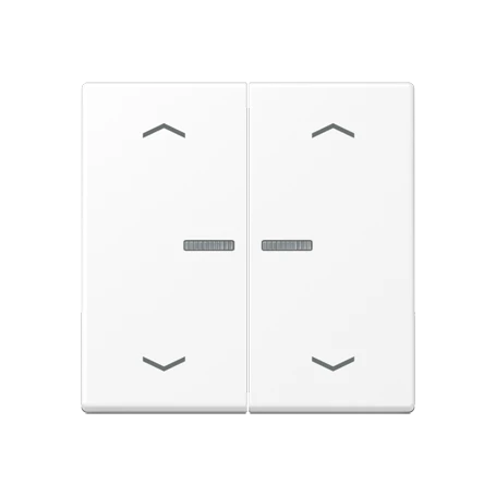 JUNG HOME push-button, with arrow symbols, with lens, matt snow white