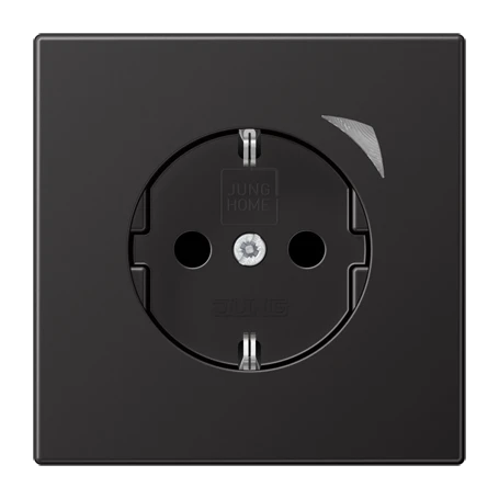 JUNG HOME SCHUKO® Steckdose, Safety Plus, dark