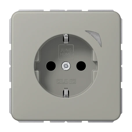JUNG HOME wandcontactdoos met randaarde Energy, Safety Plus, platina