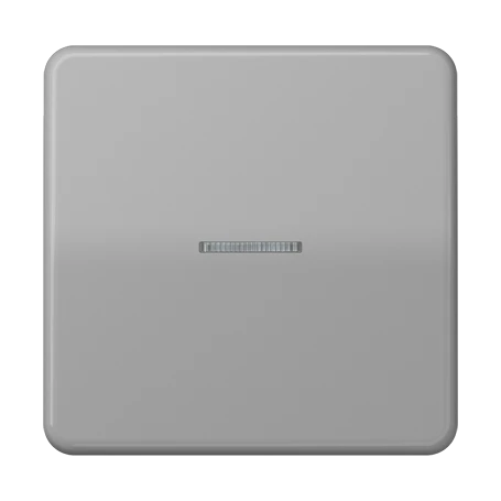 JUNG HOME push-button, with lens, grey