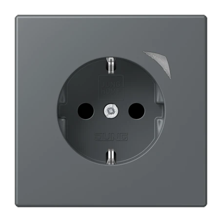 JUNG HOME SCHUKO® socket Energy, Safety Plus, gris foncé 31 (32010)