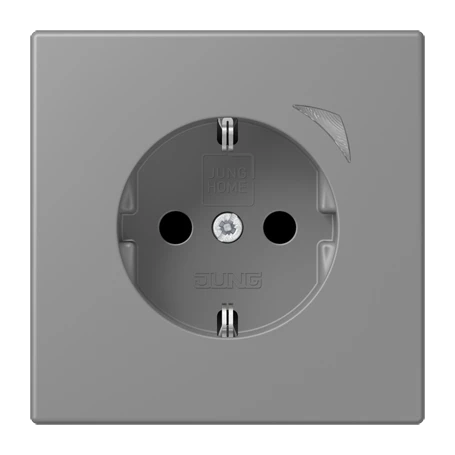 JUNG HOME SCHUKO® socket Energy, Safety Plus, gris 31 (32011)