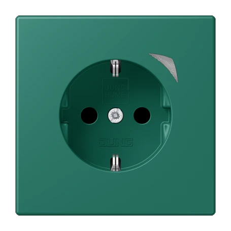JUNG HOME SCHUKO® socket Energy, Safety Plus, vert anglais