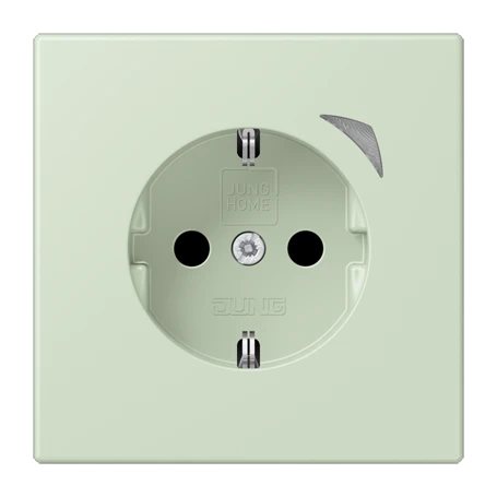 JUNG HOME SCHUKO® socket Energy, Safety Plus, vert anglâis pale