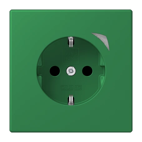 JUNG HOME SCHUKO® socket Energy, Safety Plus, vert foncé