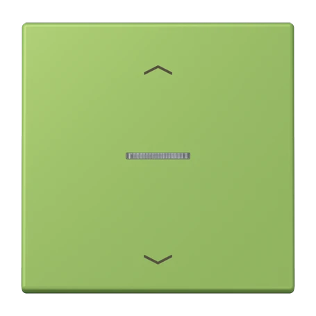 Bouton poussoir JUNG HOME 1 voie, avec symboles flèches, avec voyant crayon, vert 31 (32051)