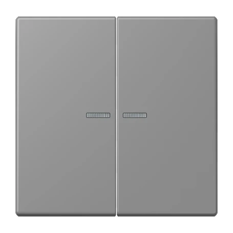 JUNG HOME push-button 2-gang, with lens, gris 31 (32011)