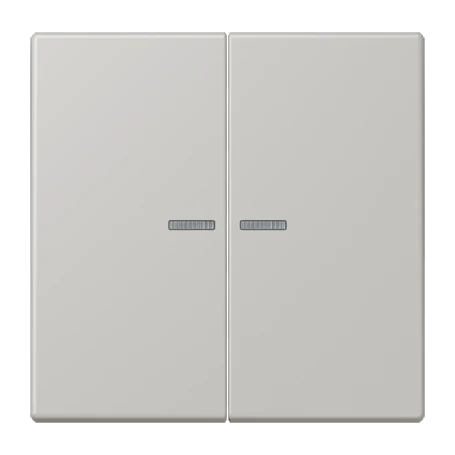 JUNG HOME push-button 2-gang, with lens, gris clair 31 (32013)