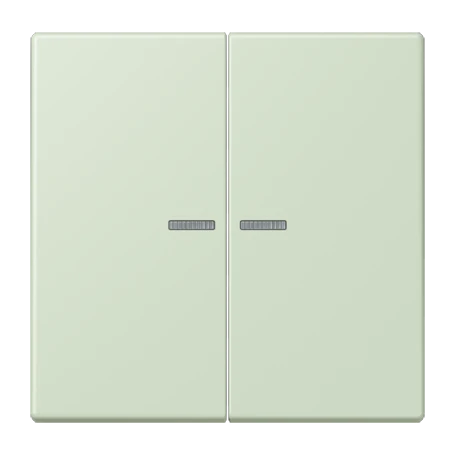 JUNG HOME push-button 2-gang, with lens, vert anglais pâle (32042)
