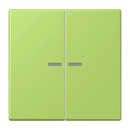 JUNG HOME push-button 2-gang, with lens, vert clair (32052)