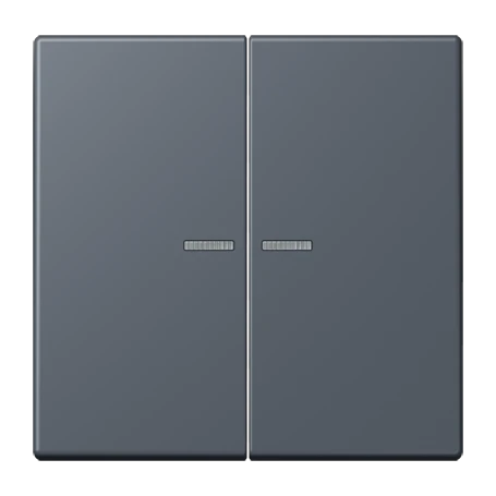 JUNG HOME push-button 2-gang, with lens, gris foncé 59 (4320U)