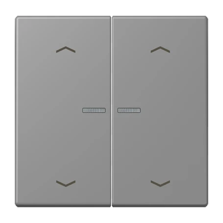 JUNG HOME Taster 2fach, mit Pfeilsymbolen, mit Lichtleiter, gris 31 (32011)