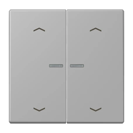JUNG HOME Taster 2fach, mit Pfeilsymbolen, mit Lichtleiter, gris moyen (32012)