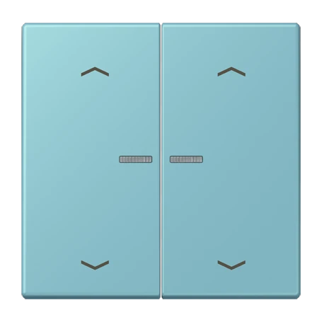 JUNG HOME Taster 2fach, mit Pfeilsymbolen, mit Lichtleiter, céruléen moyen (32032)