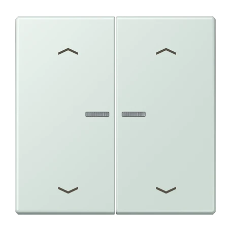 JUNG HOME Taster 2fach, mit Pfeilsymbolen, mit Lichtleiter, céruléen pâle (32034)