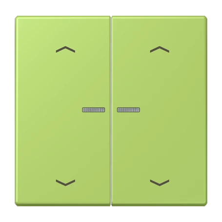 JUNG HOME Taster 2fach, mit Pfeilsymbolen, mit Lichtleiter, vert clair (32052)
