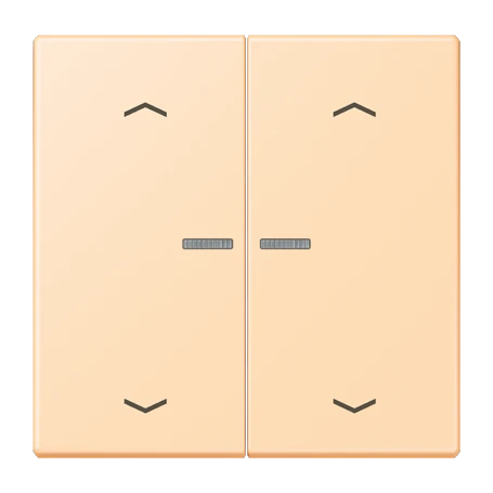 JUNG HOME Taster 2fach, mit Pfeilsymbolen, mit Lichtleiter, ocre (32060)