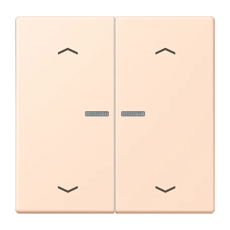 JUNG HOME Taster 2fach, mit Pfeilsymbolen, mit Lichtleiter, rose pâle (32091)