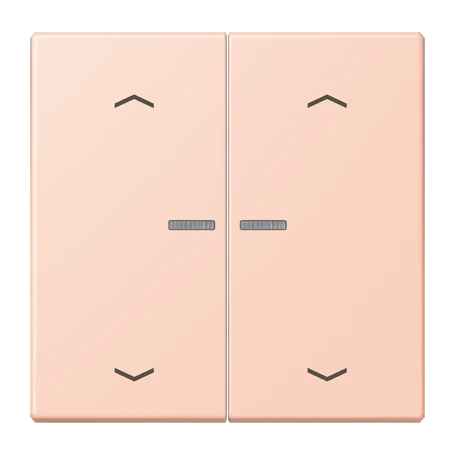 JUNG HOME Taster 2fach, mit Pfeilsymbolen, mit Lichtleiter, l’ocre rouge clair (32112)