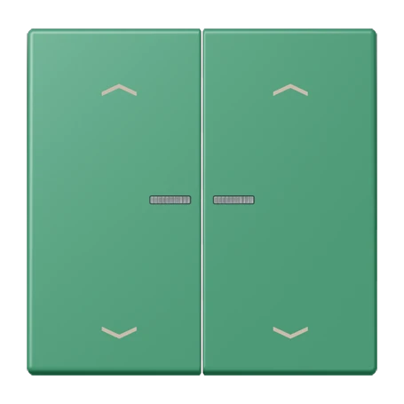 JUNG HOME Taster 2fach, mit Pfeilsymbolen, mit Lichtleiter, vert 59 (4320G)