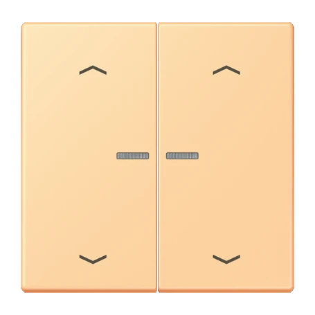 JUNG HOME Taster 2fach, mit Pfeilsymbolen, mit Lichtleiter, terre sienne claire 59 (4320P)