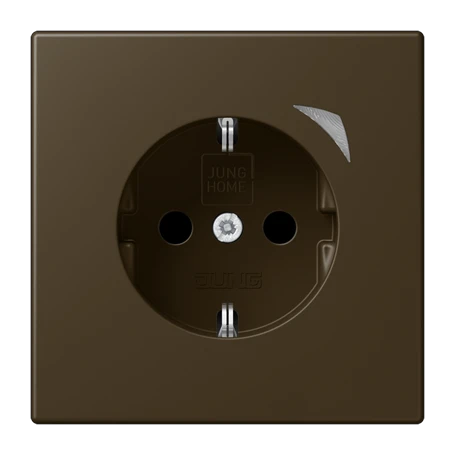 JUNG HOME SCHUKO® Steckdose Energy, Safety Plus, Messing antik