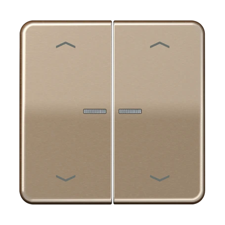 Rocker 1-gang, F10, gold-bronze