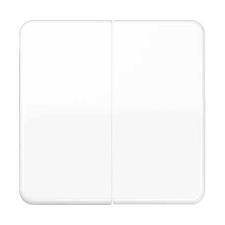 LB-Management Taster 2fach, alpinweiß