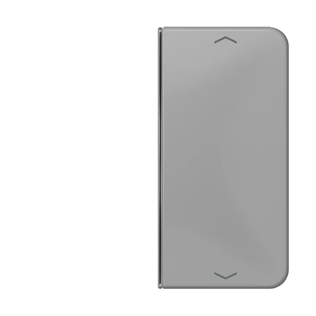 Cover 2-gang, F40, grey