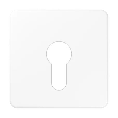 Enjoliveur 1 voie, pour interrupteur à clé sans protection contre démontage, Thermoplastique, Blanc