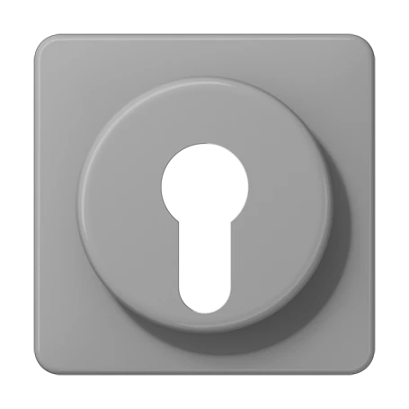 Enjoliveur 1 voie, pour interrupteur à clé avec protection contre démontage, Thermoplastique, Gris