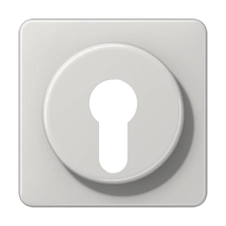 Enjoliveur 1 voie, pour interrupteur à clé avec protection contre démontage, Thermoplastique, Gris clair