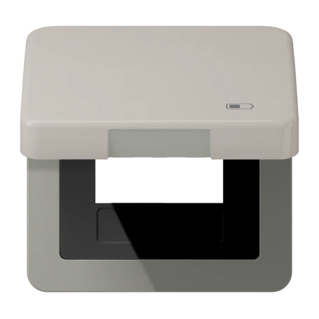 Hinged lid, including centre plate, symbol "charger", platinum