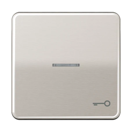 Rocker, symbol "door", with lens, platinum