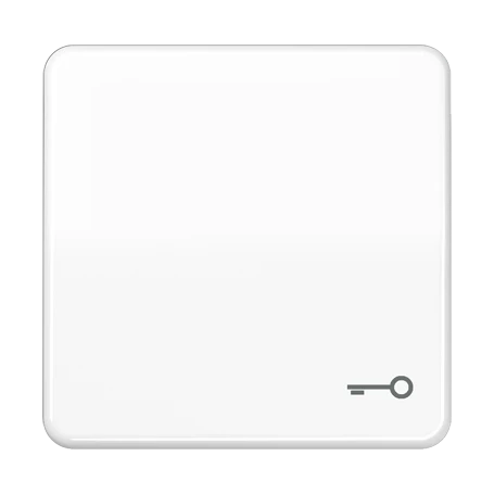 Tecla simple 1 fase, símbolo "puerta", blanco alpino