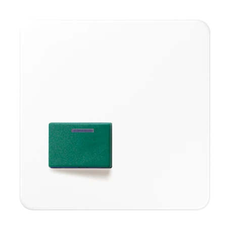 Centre plate for Ackermann, Typ 73642 C, white