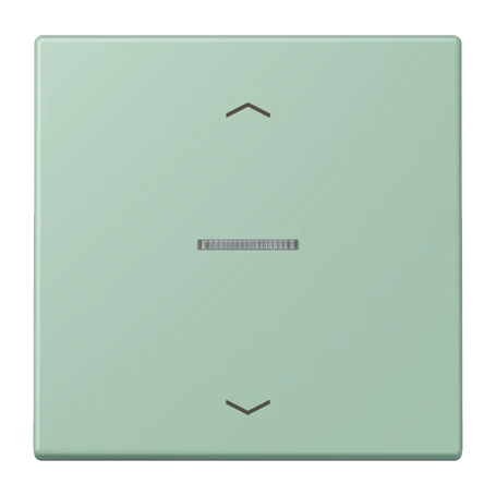 eNet push-button standard, with arrow symbols, with lens, vert anglais clair (32041)