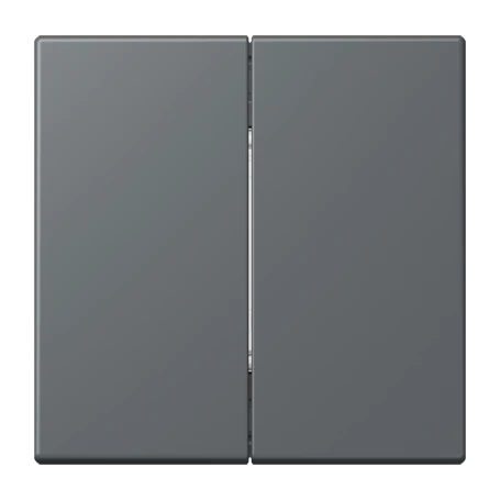 Friends of Hue radio transmitter, 4-channel, gris foncé 31 (32010)