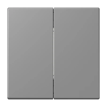 Friends of Hue radio transmitter, 4-channel, gris 31 (32011)